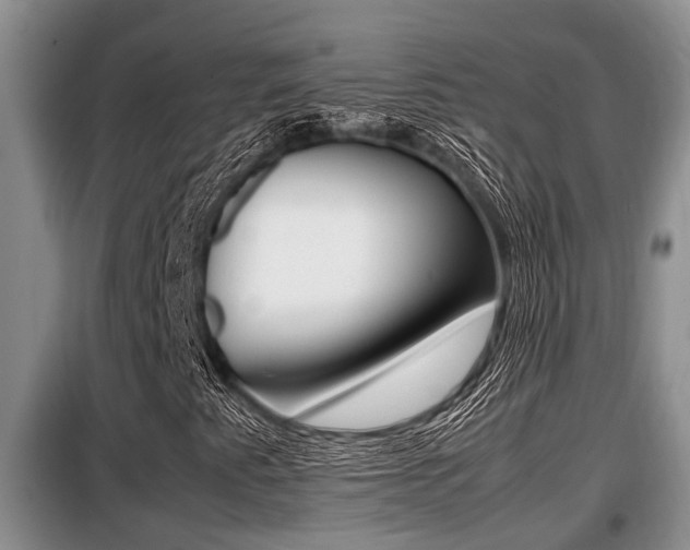 X0000099411345200805090718