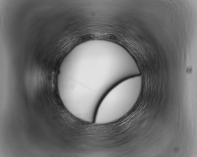 X0000099411346200805090718