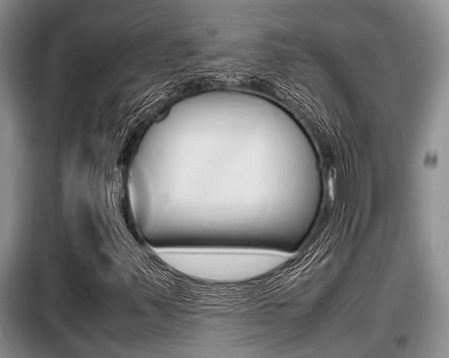 X0000099411347200805090717