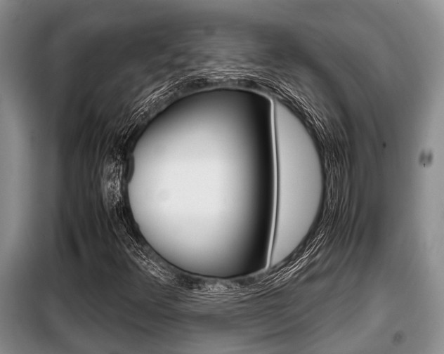 X0000099411348200805090717