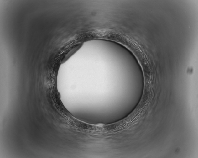 X0000099411349200805090717