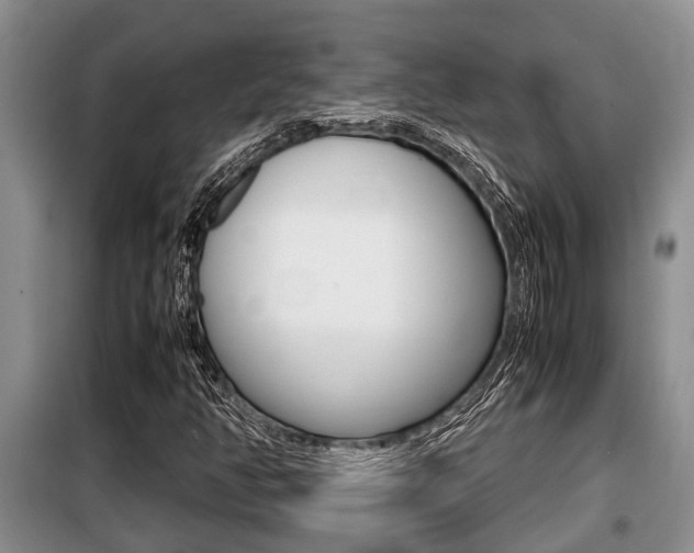 X0000099411350200805090717