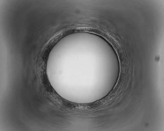 X0000099411351200805090717