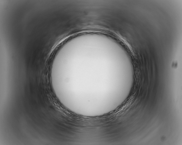 X0000099411352200805090717