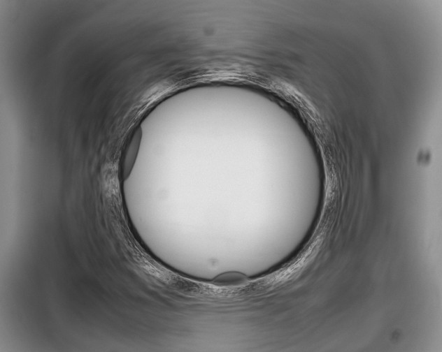 X0000099411353200805090717