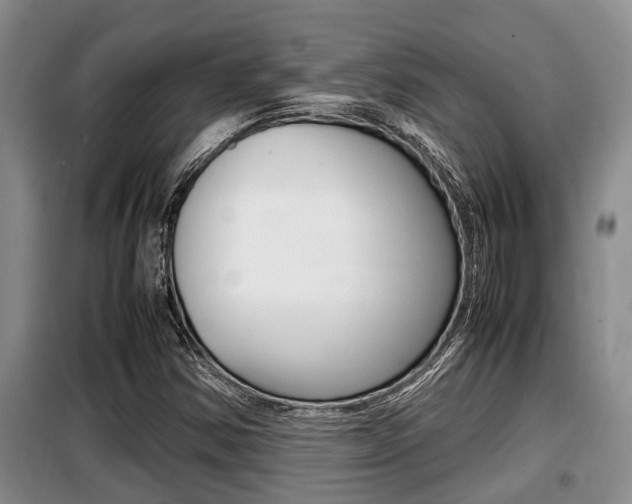 X0000099411354200805090717
