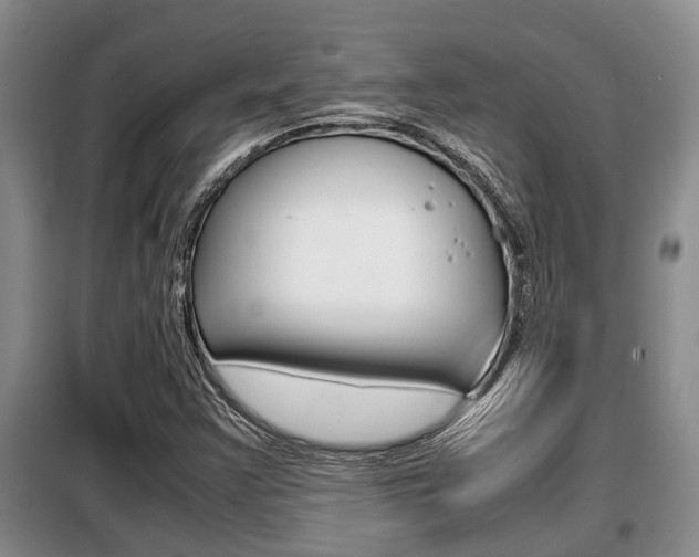 X0000099411355200805090717