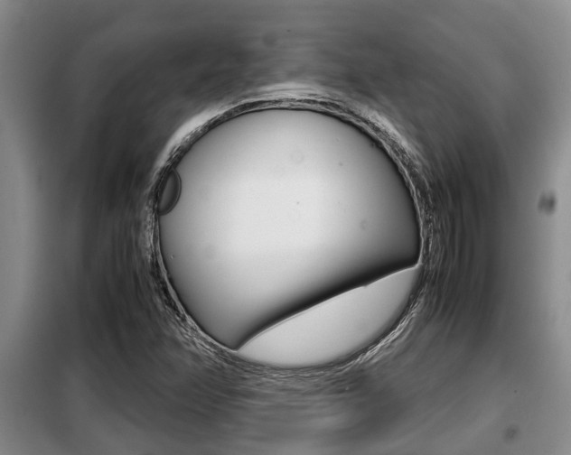 X0000099411358200805090717