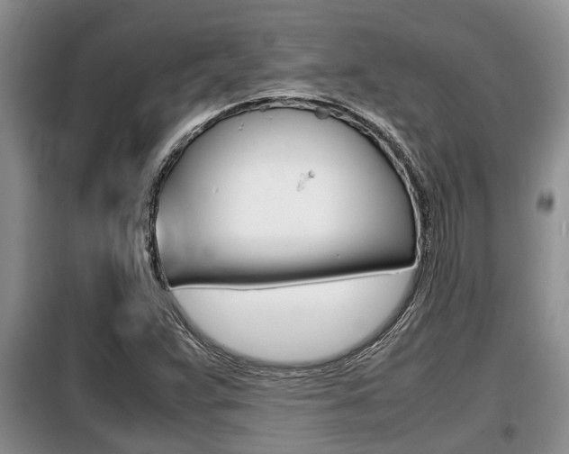 X0000099411359200805090717