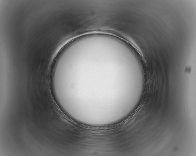 X0000099411360200805090717