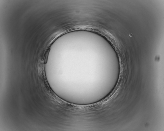 X0000099411361200805090717