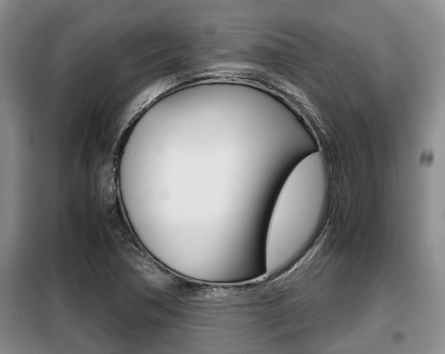 X0000099411362200805090717