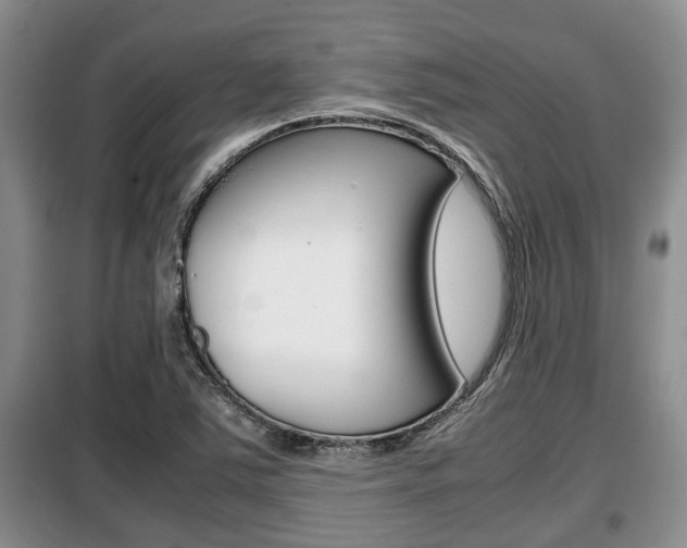 X0000099411363200805090717