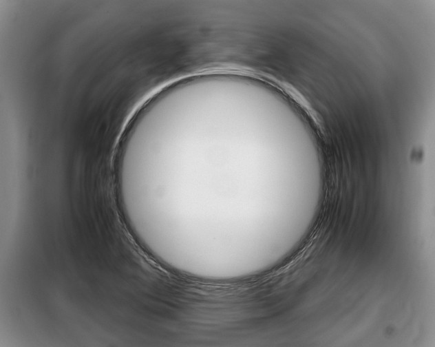 X0000099411364200805090717