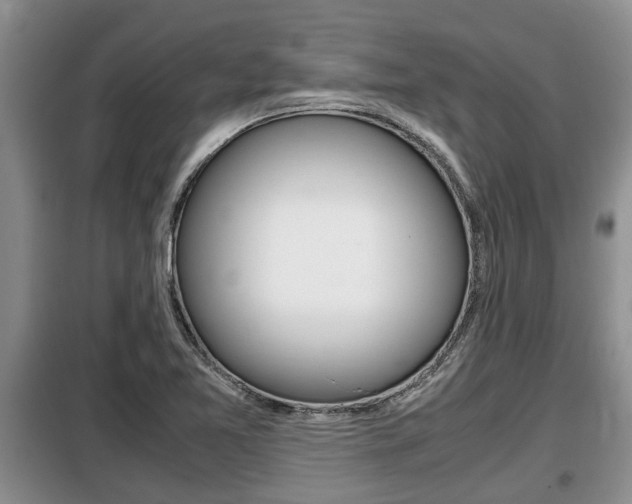 X0000099411365200805090717