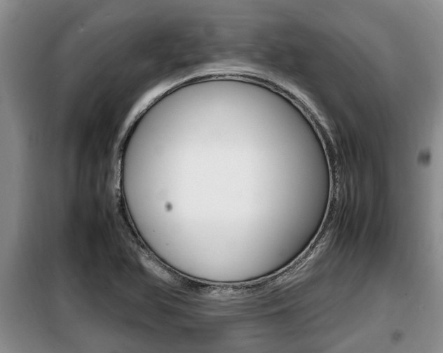 X0000099411366200805090717