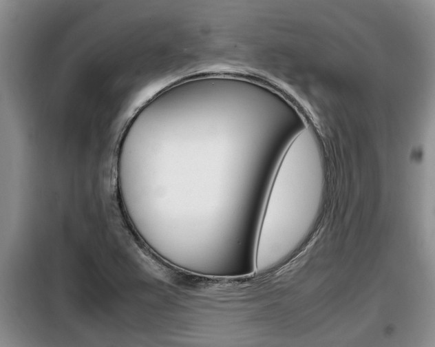 X0000099411367200805090717