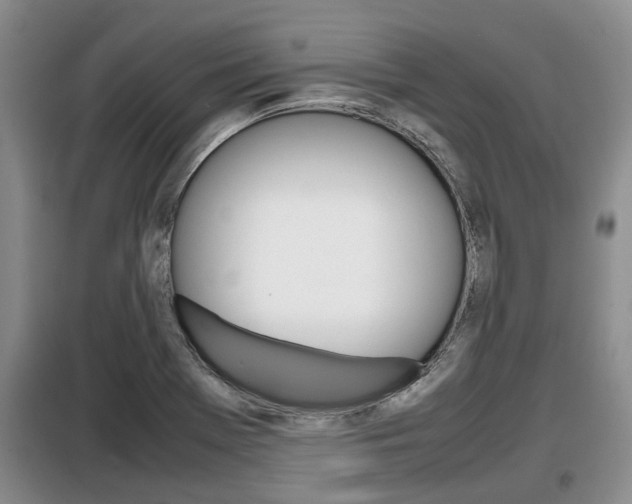 X0000099411369200805090717