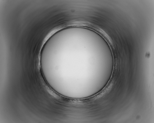 X0000099411370200805090717