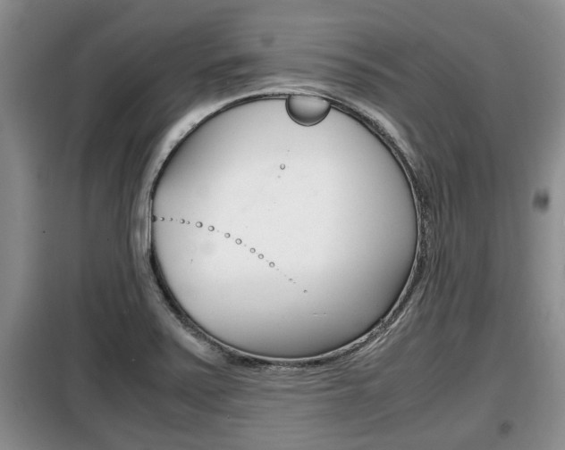 X0000099411371200805090717