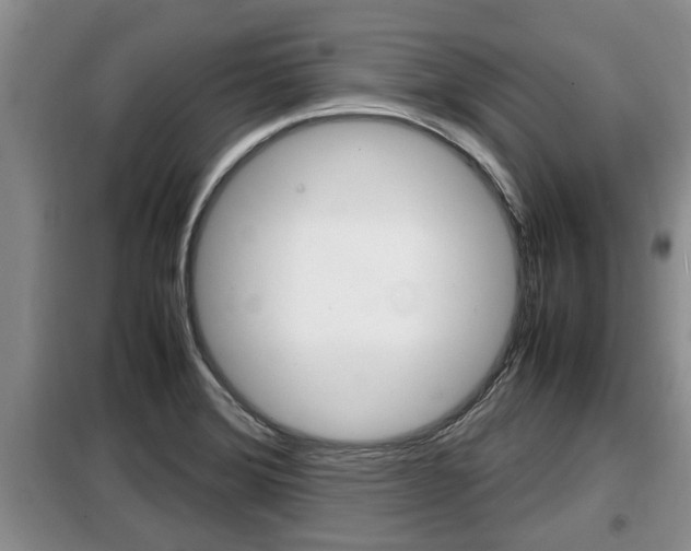 X0000099411372200805090717