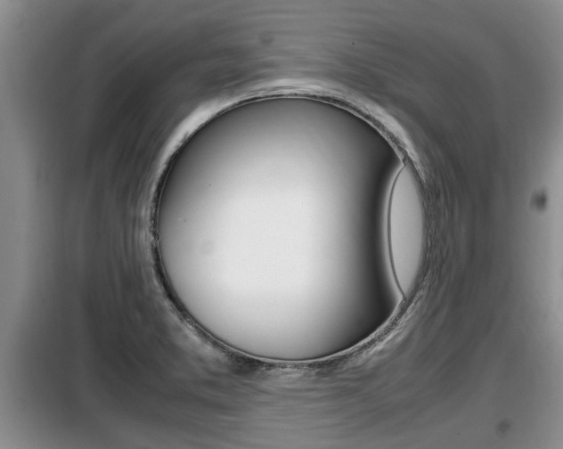 X0000099411373200805090717