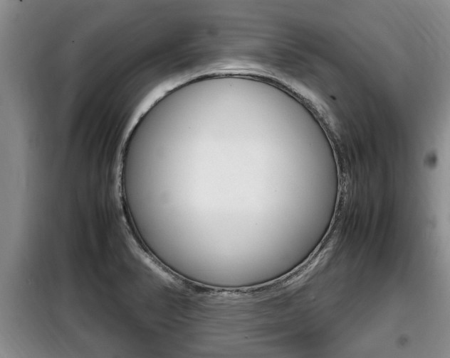 X0000099411374200805090717