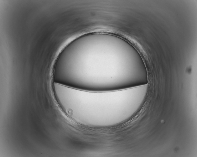 X0000099411375200805090717
