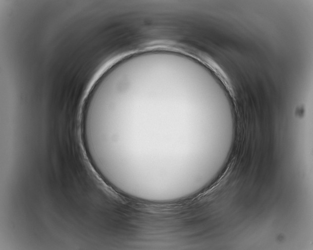 X0000099411376200805090717
