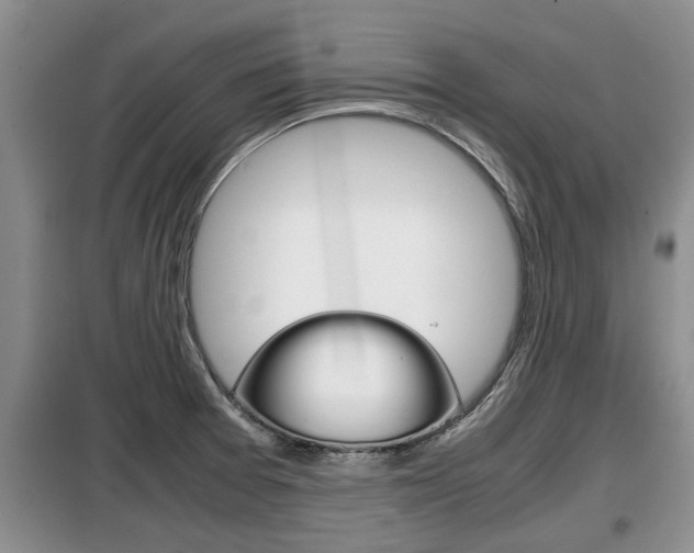 X0000099411377200805090717