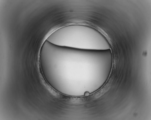 X0000099411378200805090717