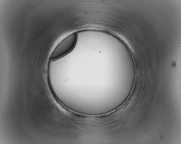 X0000099411379200805090717
