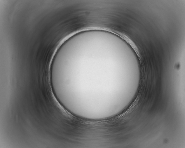 X0000099411380200805090717