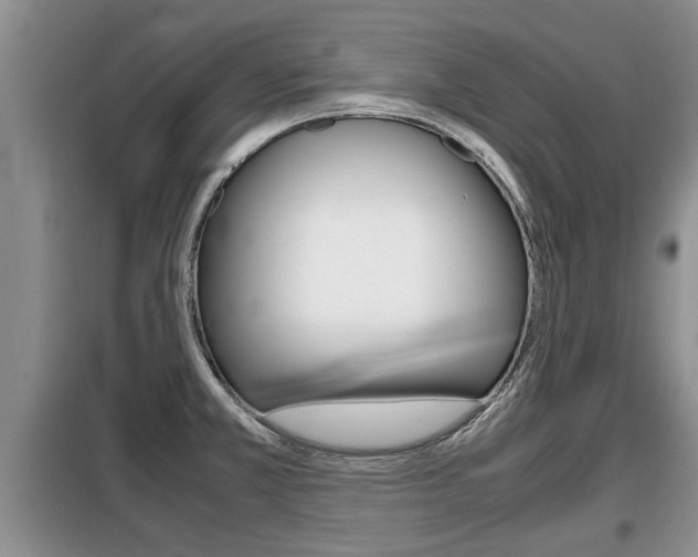 X0000099411381200805090717