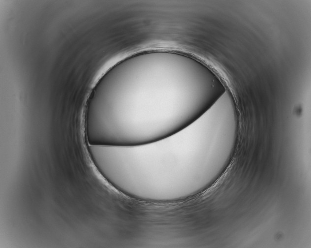 X0000099411382200805090717