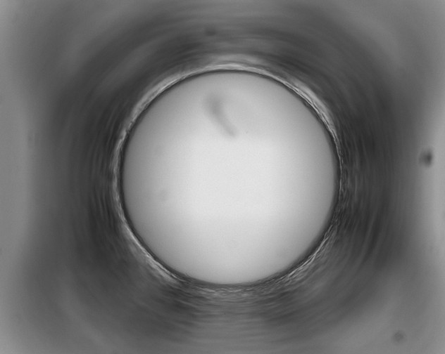 X0000099411384200805090717