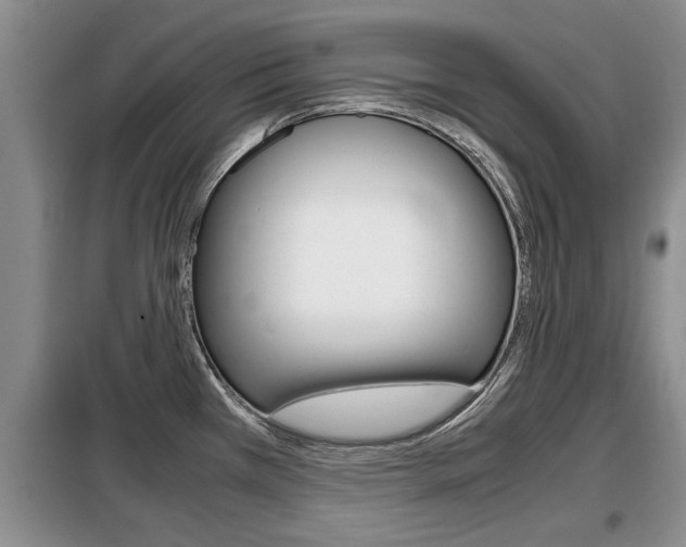 X0000099411385200805090717
