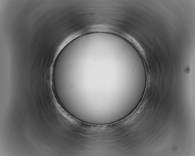X0000099411386200805090717