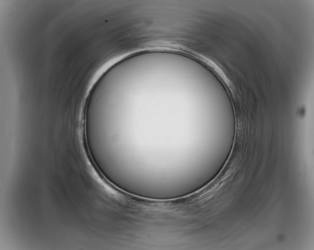 X0000099411387200805090717