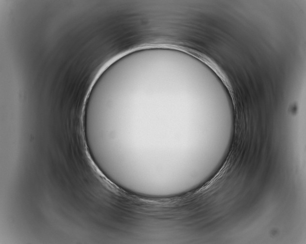 X0000099411388200805090717