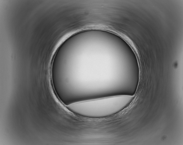 X0000099411389200805090717