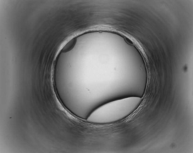 X0000099411390200805090717
