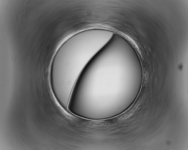 X0000099411391200805090717