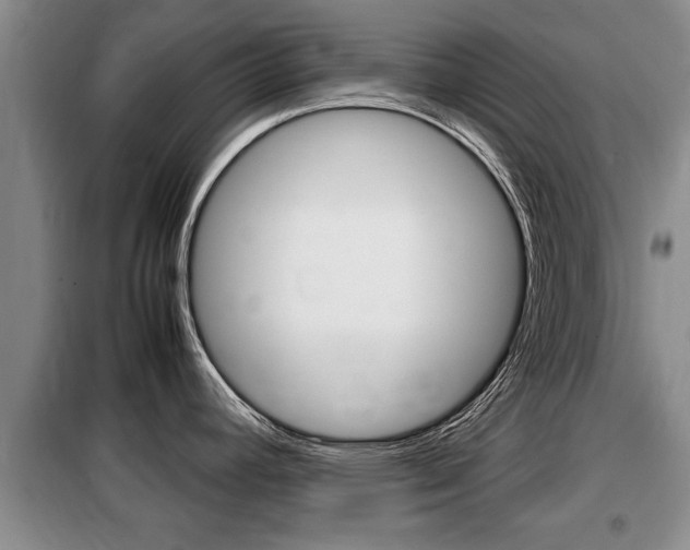 X0000099411392200805090717