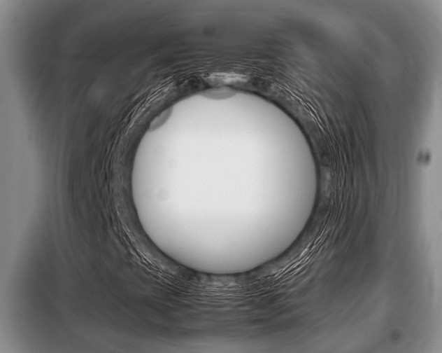 X0000099411393200805090716