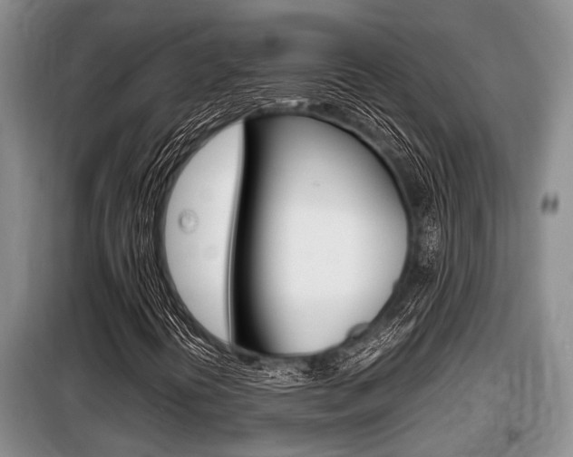 X0000099411394200805090716