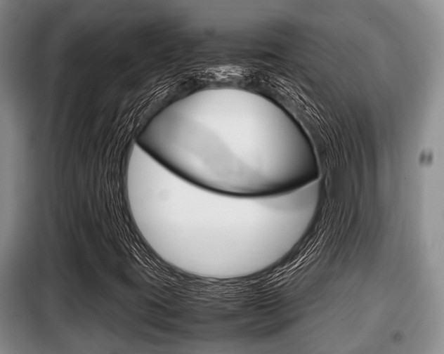 X0000099411395200805090716