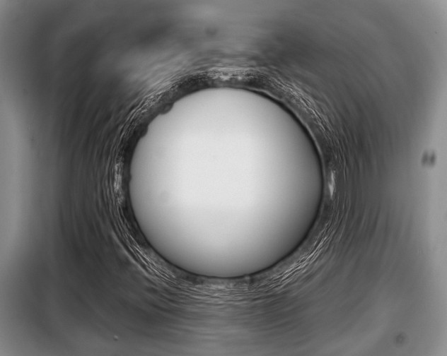 X0000099411396200805090716