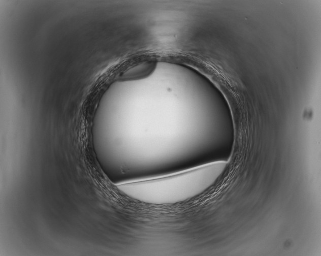 X0000099411398200805090716