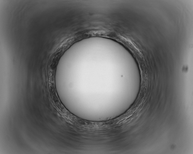 X0000099411399200805090716
